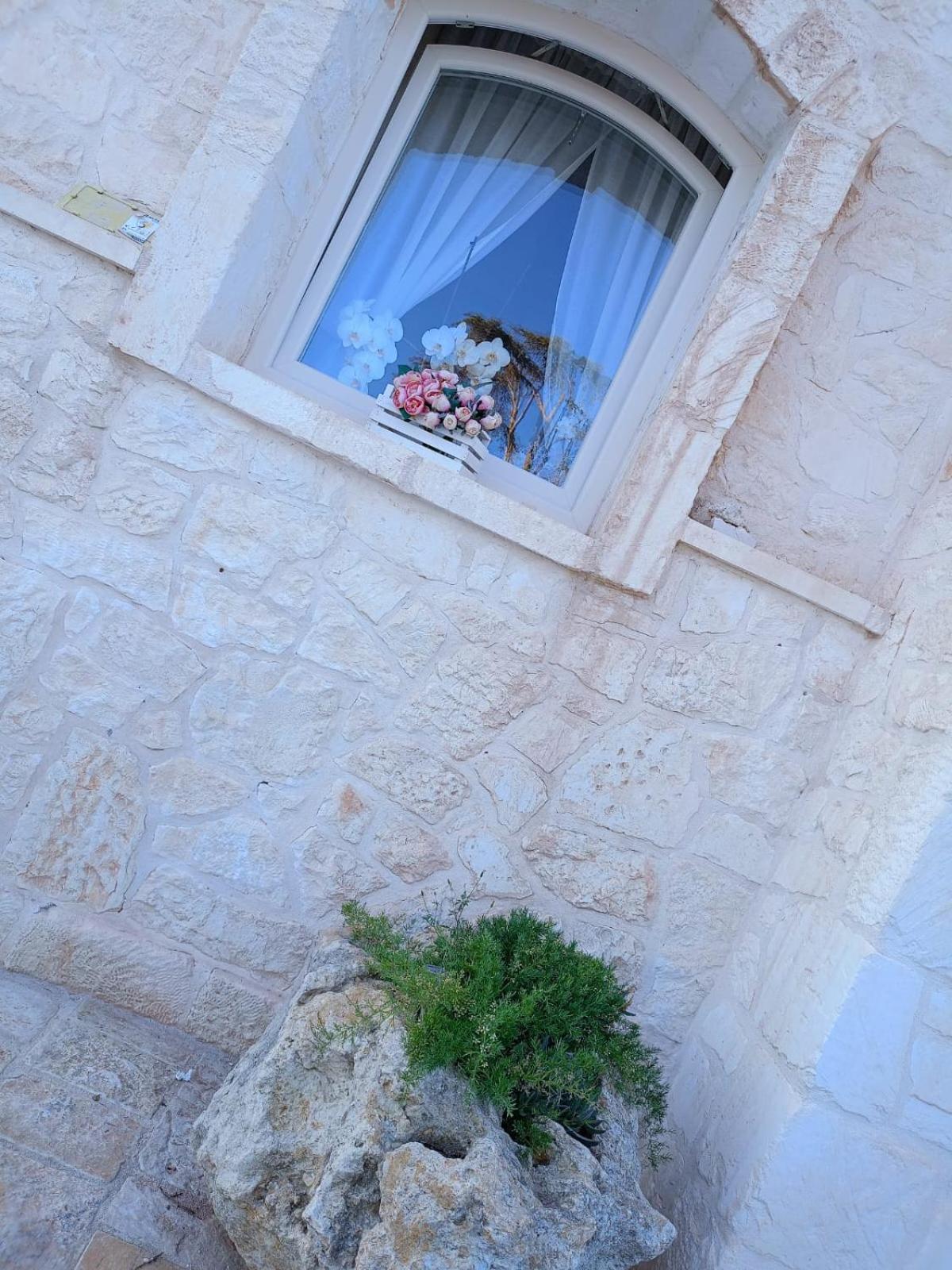 Villa Brachychiton 오스투니 외부 사진